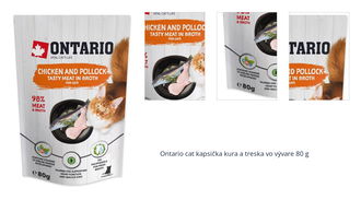 Ontario cat kapsička kura a treska vo vývare 80 g 1