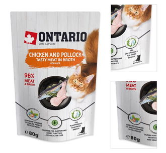 Ontario cat kapsička kura a treska vo vývare 80 g 3