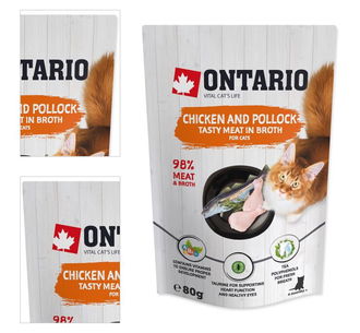 Ontario cat kapsička kura a treska vo vývare 80 g 4