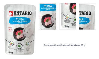 Ontario cat kapsička tuniak vo vývare 80 g 1