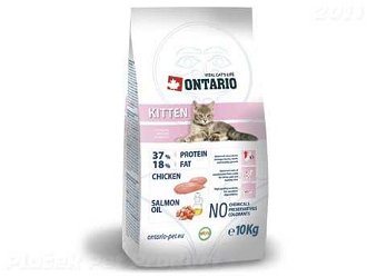 ONTARIO cat   KITTEN - 10 kg 2
