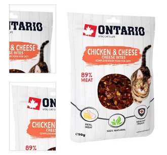 Ontario cat pochúťka 50 g kuracie kúsky so syrom 4