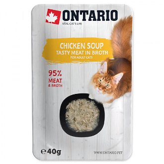 Ontario Cat polievka kura so zeleninou 40 g
