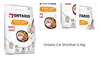 Ontario Cat Shorthair 0,4kg 1