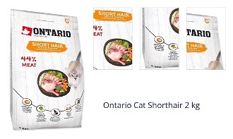 Ontario Cat Shorthair 2 kg 1
