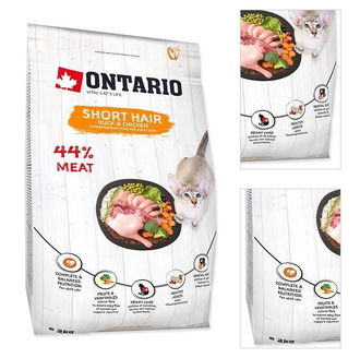 Ontario Cat Shorthair 2 kg 3