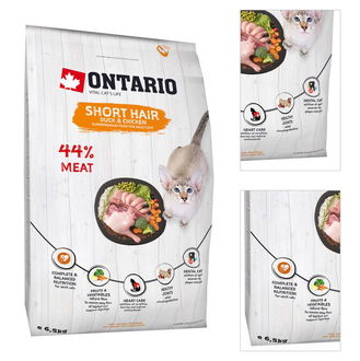 Ontario Cat Shorthair 6,5kg 3