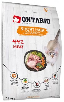 Ontario Cat Shorthair 6,5kg 2