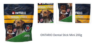 ONTARIO Dental Stick Mini 200g 1