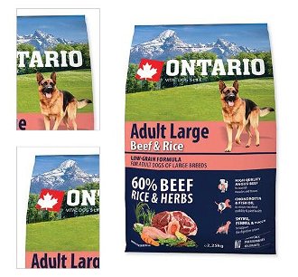 ONTARIO dog  ADULT LARGE beef and rice - 2,25kg 4