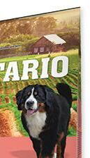ONTARIO dog ADULT LARGE chicken - 12kg 7