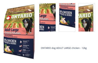 ONTARIO dog ADULT LARGE chicken - 12kg 1
