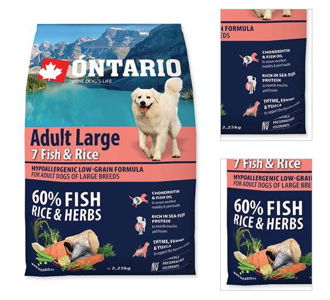 ONTARIO dog ADULT LARGE fish - 12kg 3