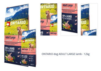 ONTARIO dog ADULT LARGE lamb - 12kg 1