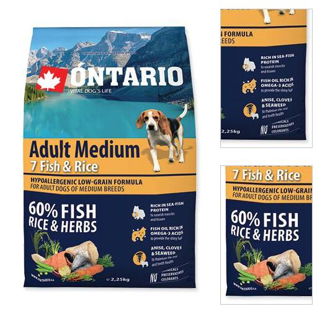 ONTARIO dog ADULT MEDIUM fish - 12kg 3
