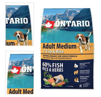 ONTARIO dog ADULT MEDIUM fish - 12kg 4