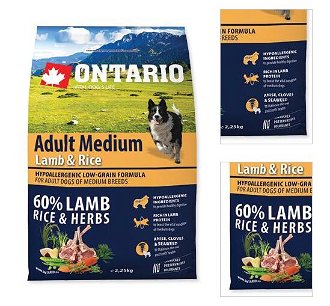 ONTARIO dog  ADULT MEDIUM lamb - 12kg 3