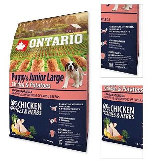 ONTARIO dog JUNIOR LARGE chicken - 12kg 3