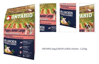 ONTARIO dog JUNIOR LARGE chicken - 2.25kg 1
