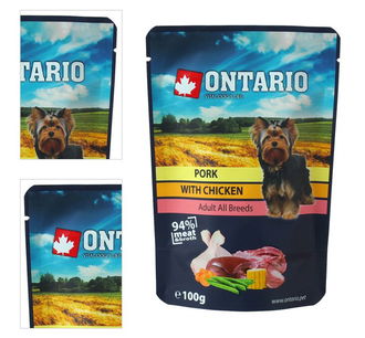 Ontario dog kapsička kura a bravčové vo vývare 100 g 4