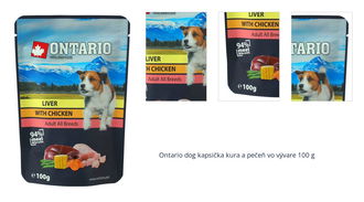 Ontario dog kapsička kura a pečeň vo vývare 100 g 1