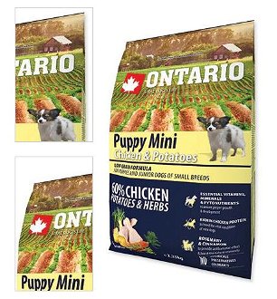 ONTARIO dog PUPPY MINI chicken - 2,25kg 4
