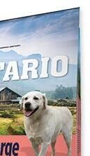 ONTARIO dog WEIGHT CONTROL LARGE turkey - 12kg 7