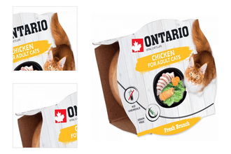 Ontario Fresh Brunch Chicken 80 g 4