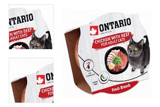Ontario Fresh Brunch Chicken with Beef 80 g 4