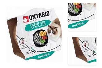 Ontario Fresh Brunch Ocean Fish 80 g​ 3