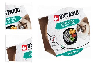 Ontario Fresh Brunch Ocean Fish 80 g​ 4