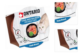 Ontario Fresh Brunch Tuna & Salmon 80 g​ 3