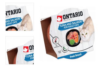 Ontario Fresh Brunch Tuna & Salmon 80 g​ 4