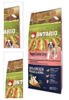 Ontario granuly Puppy & Junior Large kura a zemiaky 12 kg 4