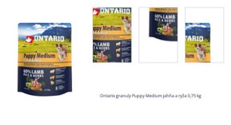 Ontario granuly Puppy Medium jahňa a ryža 0,75 kg 1