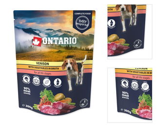 Ontario kapsička Divina zelenina vo vývare 300 g 3