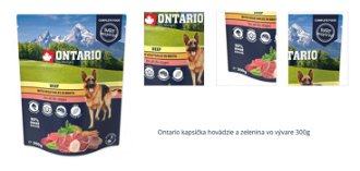 Ontario kapsička hovädzie a zelenina vo vývare 300g 1