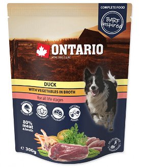 Ontario kapsička kačka a zelenina vo vývare 300 g 2