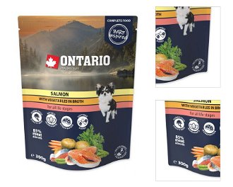 Ontario kapsička losos zelenina vo vývare 300 g 3