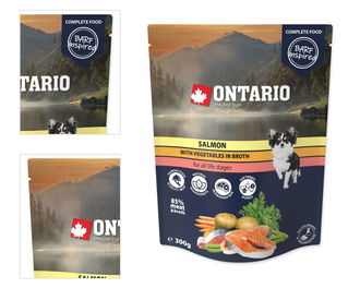 Ontario kapsička losos zelenina vo vývare 300 g 4