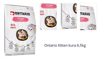 Ontario Kitten kura 6,5kg 1