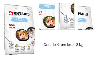 Ontario Kitten losos 2 kg 1