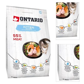 Ontario Kitten losos 2 kg 3