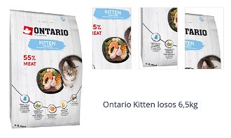 Ontario Kitten losos 6,5kg 1
