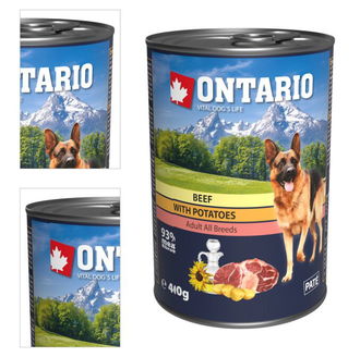 ONTARIO konz.Beef,Potatos,Sunflower Oil 400g 4