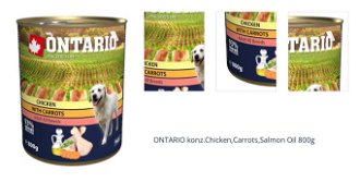 ONTARIO konz.Chicken,Carrots,Salmon Oil 800g 1