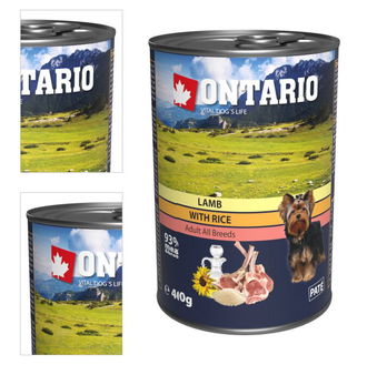 ONTARIO konz.Lamb,Rice,Sunflower Oil 400g 4