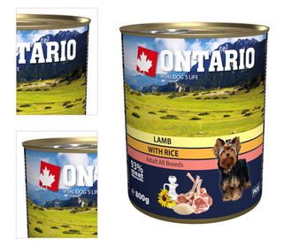 ONTARIO konz.Lamb,Rice,Sunflower Oil 800g 4