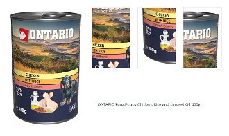 ONTARIO konz.Puppy Chicken, Rice and Linseed Oil 400g 1