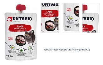 Ontario mäsová pasta pre mačky jahňa 90 g 1